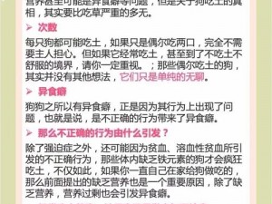 关于狗挖土对周围环境与安全的影响：深度探讨其利弊关系