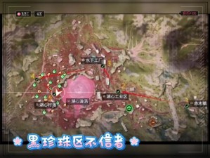 明日之后秘岛初显攻略：探索未知岛屿的实用指南