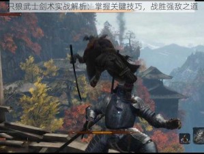 只狼武士剑术实战解析：掌握关键技巧，战胜强敌之道