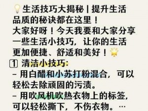 麻豆自媒体一区，提供各类实用生活小技巧，让你的生活更加便捷