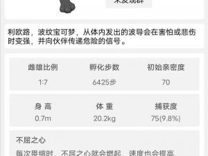 口袋妖怪巅峰对决：路卡利欧VS土豪与平民配招全解析