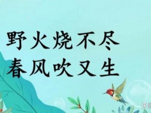 《野火流明：探索未知的奇妙世界，你准备好了吗？》