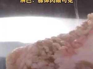 梅菜扣肉落水事件背后的故事：美食遭遇意外，引发全网热议