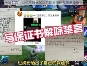 王者无故被禁言，如何应对与解决？探寻原因及策略重塑沟通之路