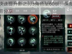 如何快速提升影之刃3角色至60级：深度解析与策略分享