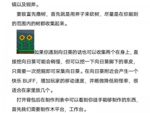 泰拉瑞亚iOS版云存档无法使用的解决方案分享：详细解析与实用技巧汇总