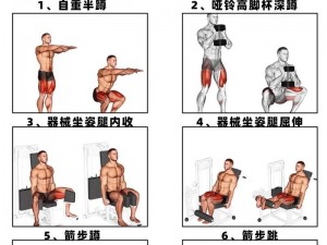 私人教练健身教程：专业指导，科学健身，助你打造完美身材