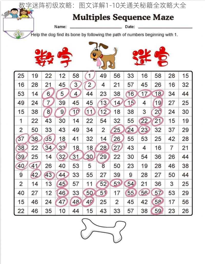 数字迷阵初级攻略：图文详解1-10关通关秘籍全攻略大全