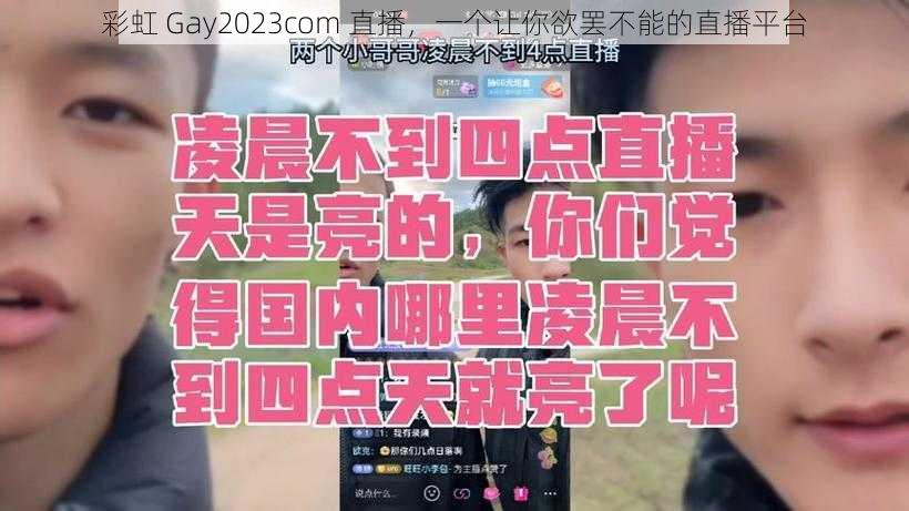 彩虹 Gay2023com 直播，一个让你欲罢不能的直播平台