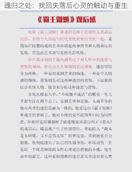 魂归之处：找回失落后心灵的触动与重生