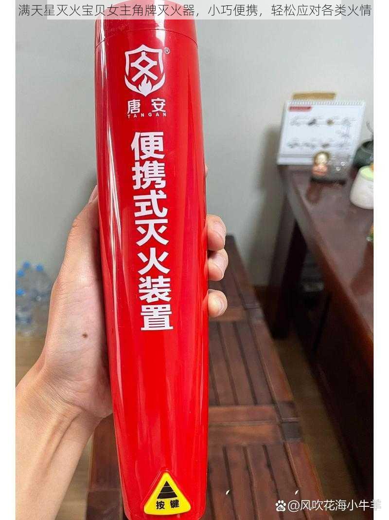 满天星灭火宝贝女主角牌灭火器，小巧便携，轻松应对各类火情