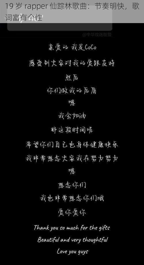 19 岁 rapper 仙踪林歌曲：节奏明快，歌词富有个性