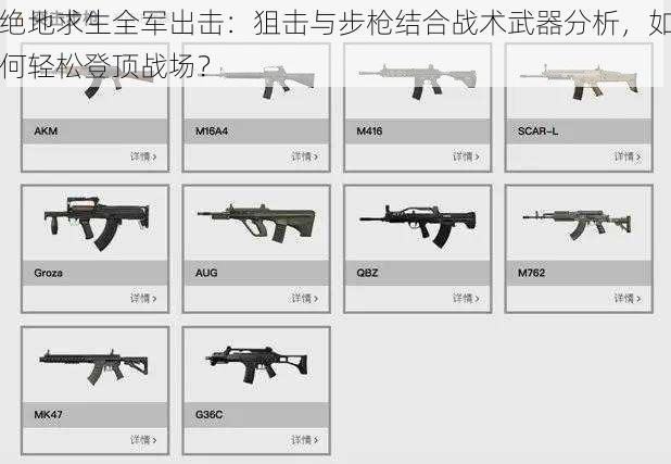 绝地求生全军出击：狙击与步枪结合战术武器分析，如何轻松登顶战场？