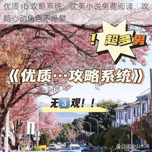 优质 rb 攻略系统：沈芙小说免费阅读，攻略心动角色不是梦