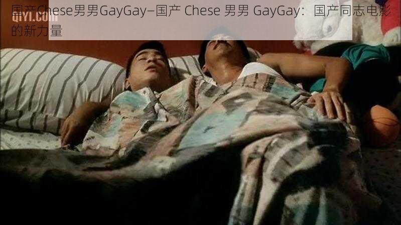 国产Chese男男GayGay—国产 Chese 男男 GayGay：国产同志电影的新力量