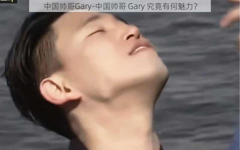 中国帅哥Gary-中国帅哥 Gary 究竟有何魅力？