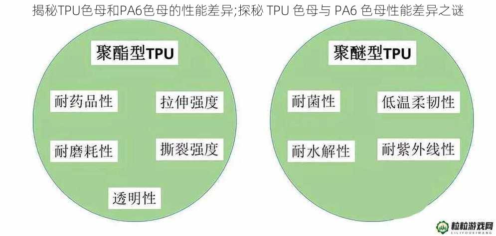 揭秘TPU色母和PA6色母的性能差异;探秘 TPU 色母与 PA6 色母性能差异之谜