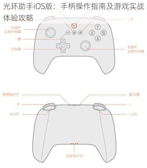 光环助手iOS版：手柄操作指南及游戏实战体验攻略