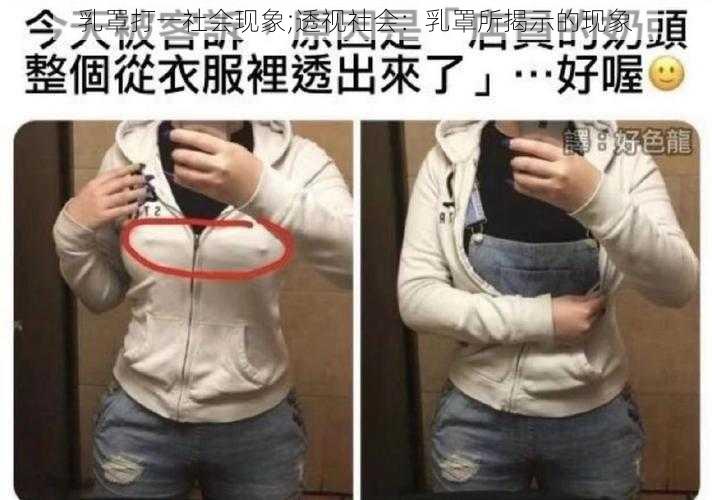 乳罩打一社会现象;透视社会：乳罩所揭示的现象