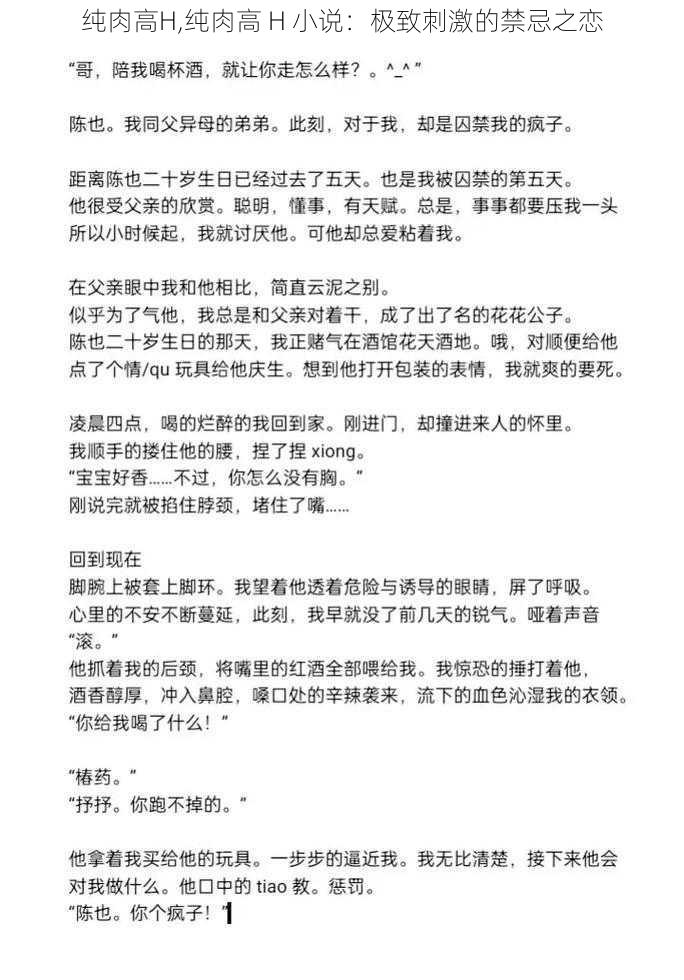 纯肉高H,纯肉高 H 小说：极致刺激的禁忌之恋