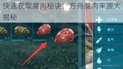 快速获取腐肉秘诀：方舟腐肉来源大揭秘