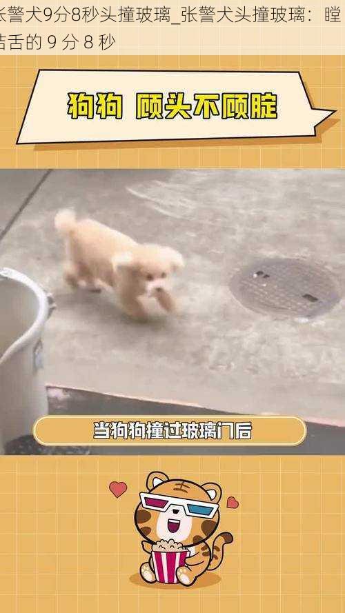 张警犬9分8秒头撞玻璃_张警犬头撞玻璃：瞠目结舌的 9 分 8 秒