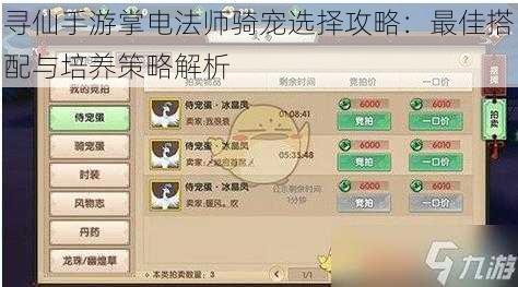 寻仙手游掌电法师骑宠选择攻略：最佳搭配与培养策略解析