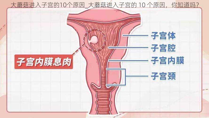 大蘑菇进入子宫的10个原因_大蘑菇进入子宫的 10 个原因，你知道吗？