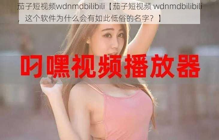 茄子短视频wdnmdbilibili【茄子短视频 wdnmdbilibili，这个软件为什么会有如此低俗的名字？】