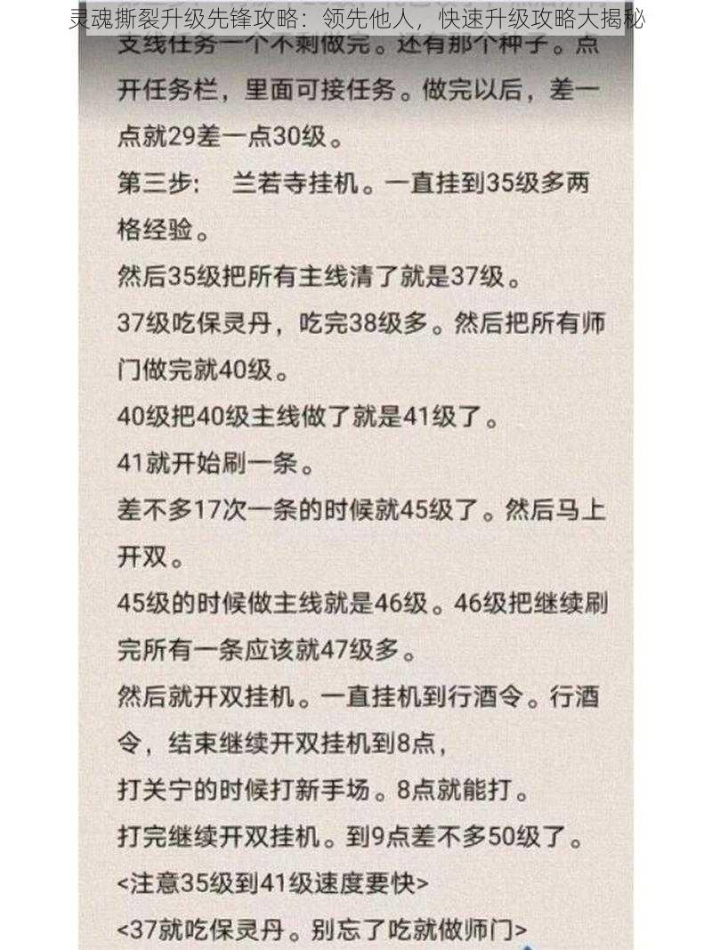 灵魂撕裂升级先锋攻略：领先他人，快速升级攻略大揭秘