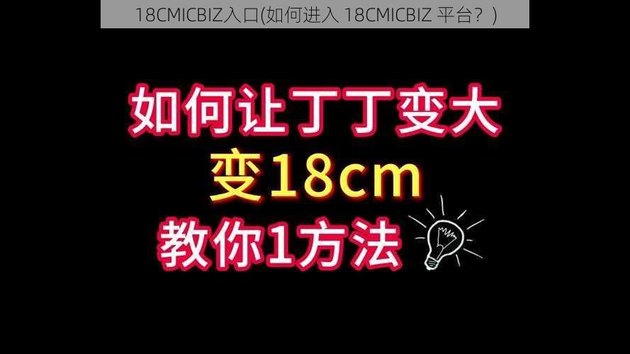 18CMICBIZ入口(如何进入 18CMICBIZ 平台？)