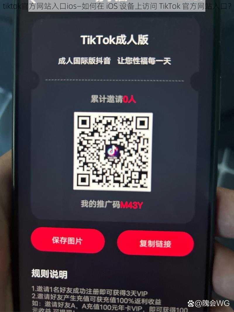 tiktok官方网站入口ios—如何在 iOS 设备上访问 TikTok 官方网站入口？