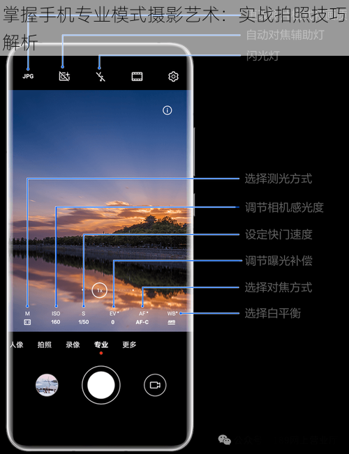 掌握手机专业模式摄影艺术：实战拍照技巧解析