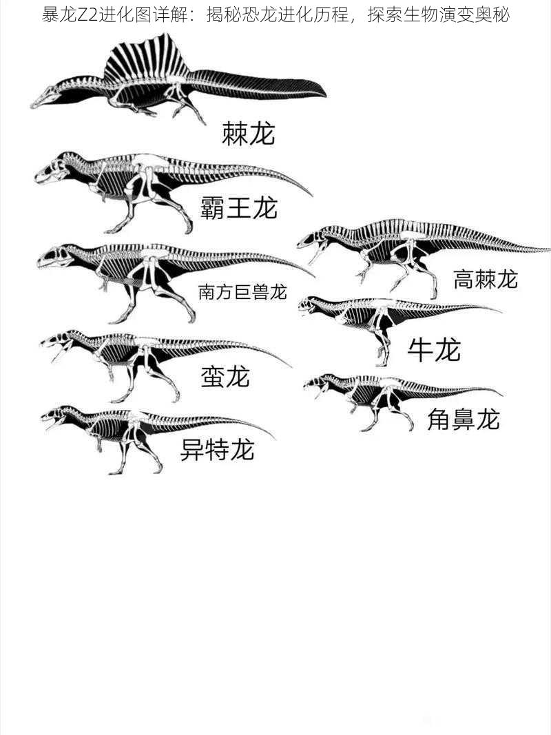 暴龙Z2进化图详解：揭秘恐龙进化历程，探索生物演变奥秘