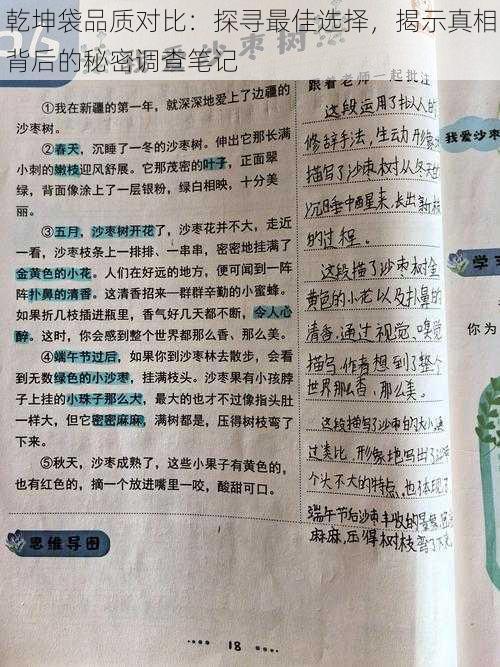 乾坤袋品质对比：探寻最佳选择，揭示真相背后的秘密调查笔记