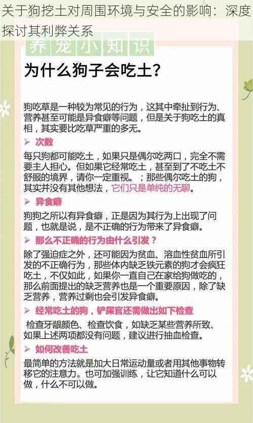 关于狗挖土对周围环境与安全的影响：深度探讨其利弊关系