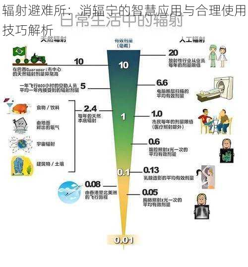 辐射避难所：消辐宁的智慧应用与合理使用技巧解析