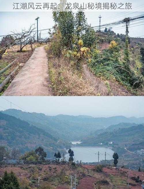 江湖风云再起：龙泉山秘境揭秘之旅