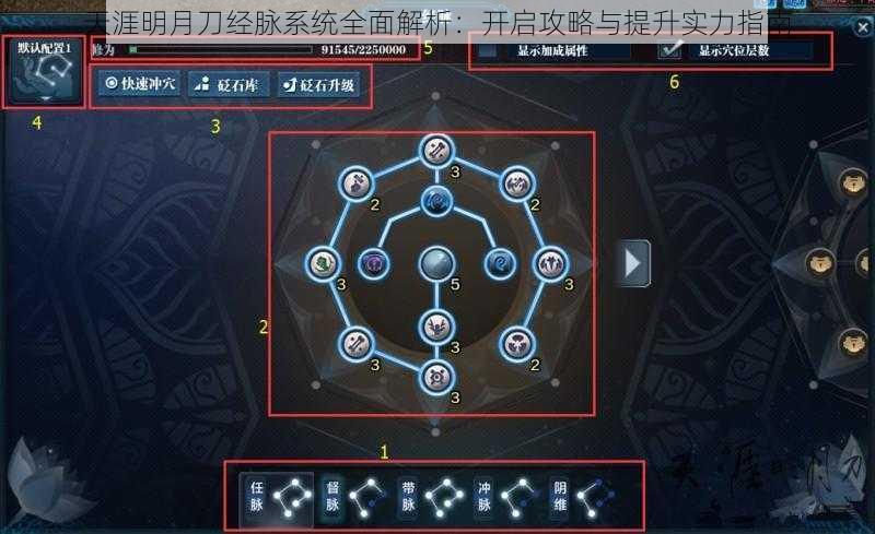 天涯明月刀经脉系统全面解析：开启攻略与提升实力指南