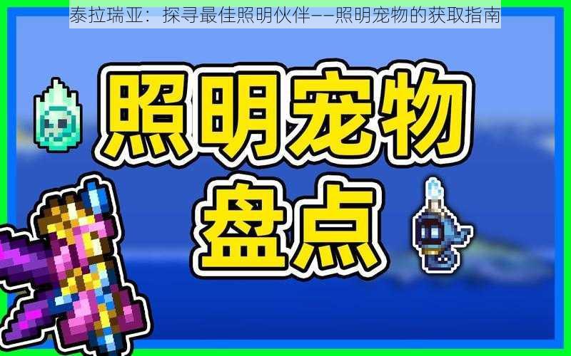 泰拉瑞亚：探寻最佳照明伙伴——照明宠物的获取指南